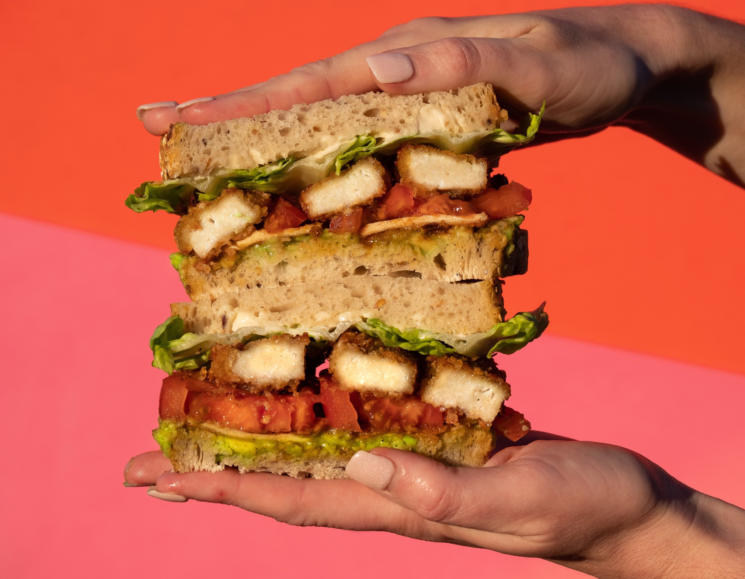 Pollo Sambo1.jpg